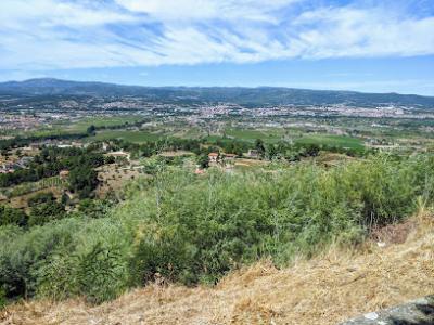 Miradouro de S&atilde;o Louren&ccedil;o