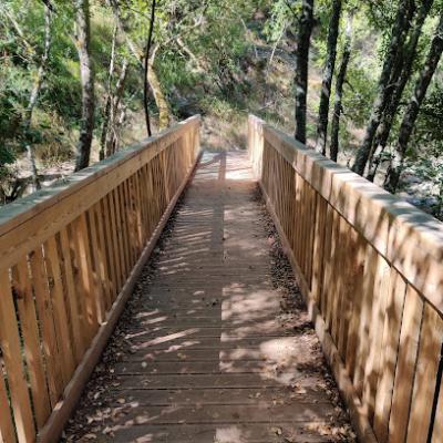 Cascatas do Ribeiro de Palheiros (Trilho)